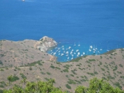 Whites Catalina 2005 04891.JPG: 2005/07/25 - Catalina - 2005